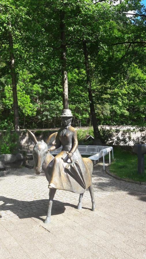 Ferienwohnung Siesta Bad Harzburg Zewnętrze zdjęcie