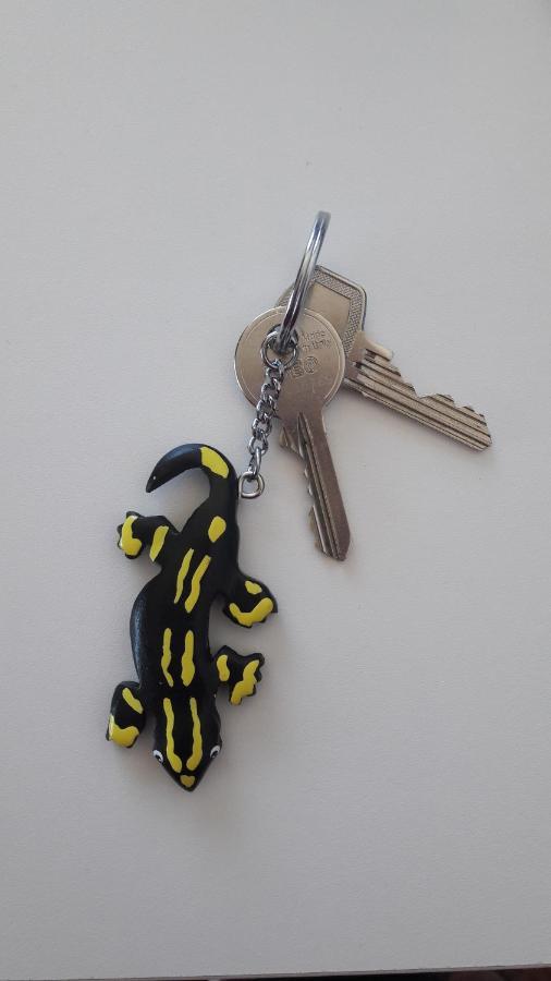 Ferienwohnung Siesta Bad Harzburg Zewnętrze zdjęcie